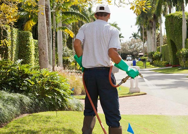 About Pesotum IL Pest Control